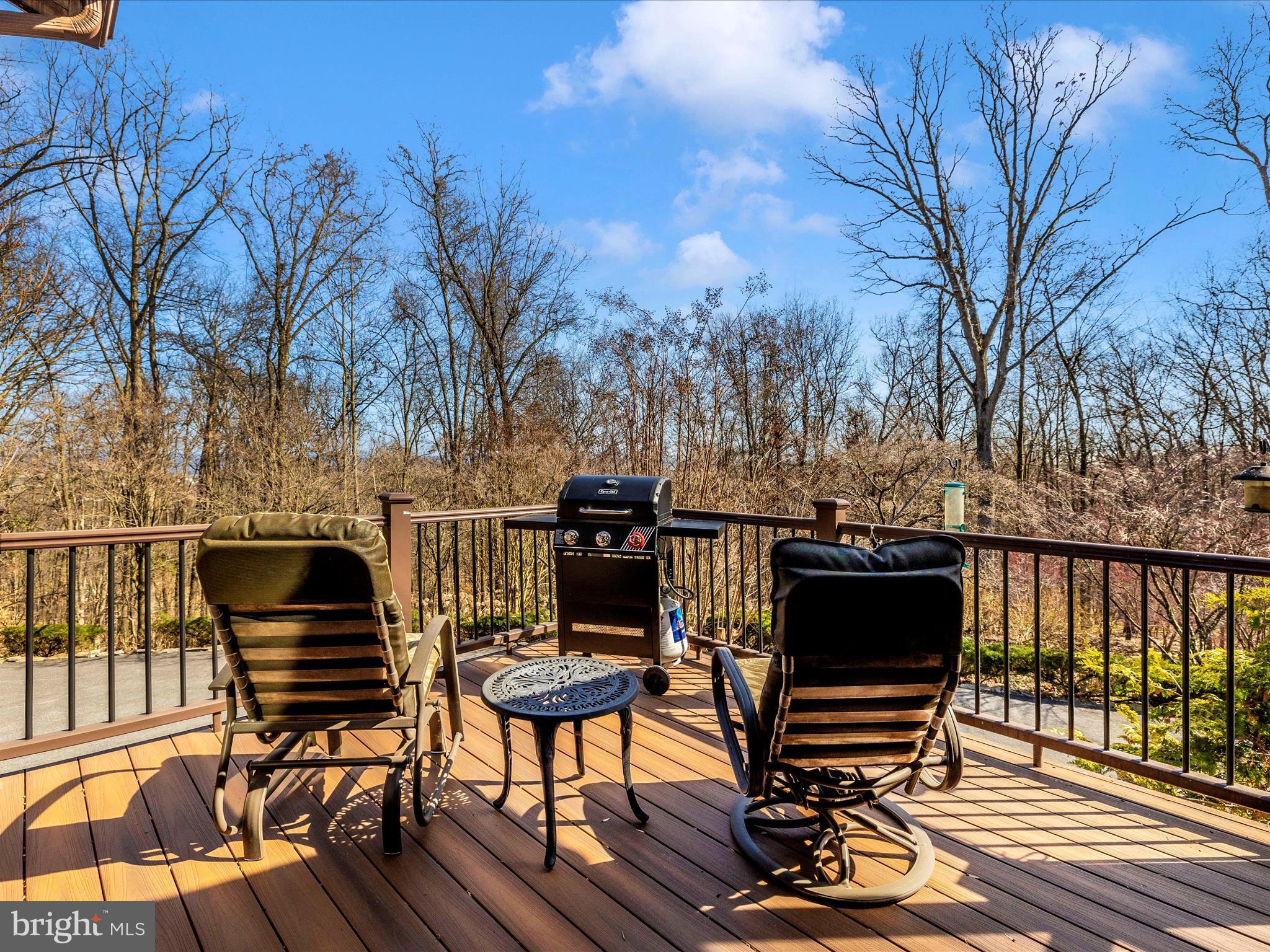 3948 Mar Lu Ridge Road Jefferson, MD 21755 - Photo 77 of 116 Deck