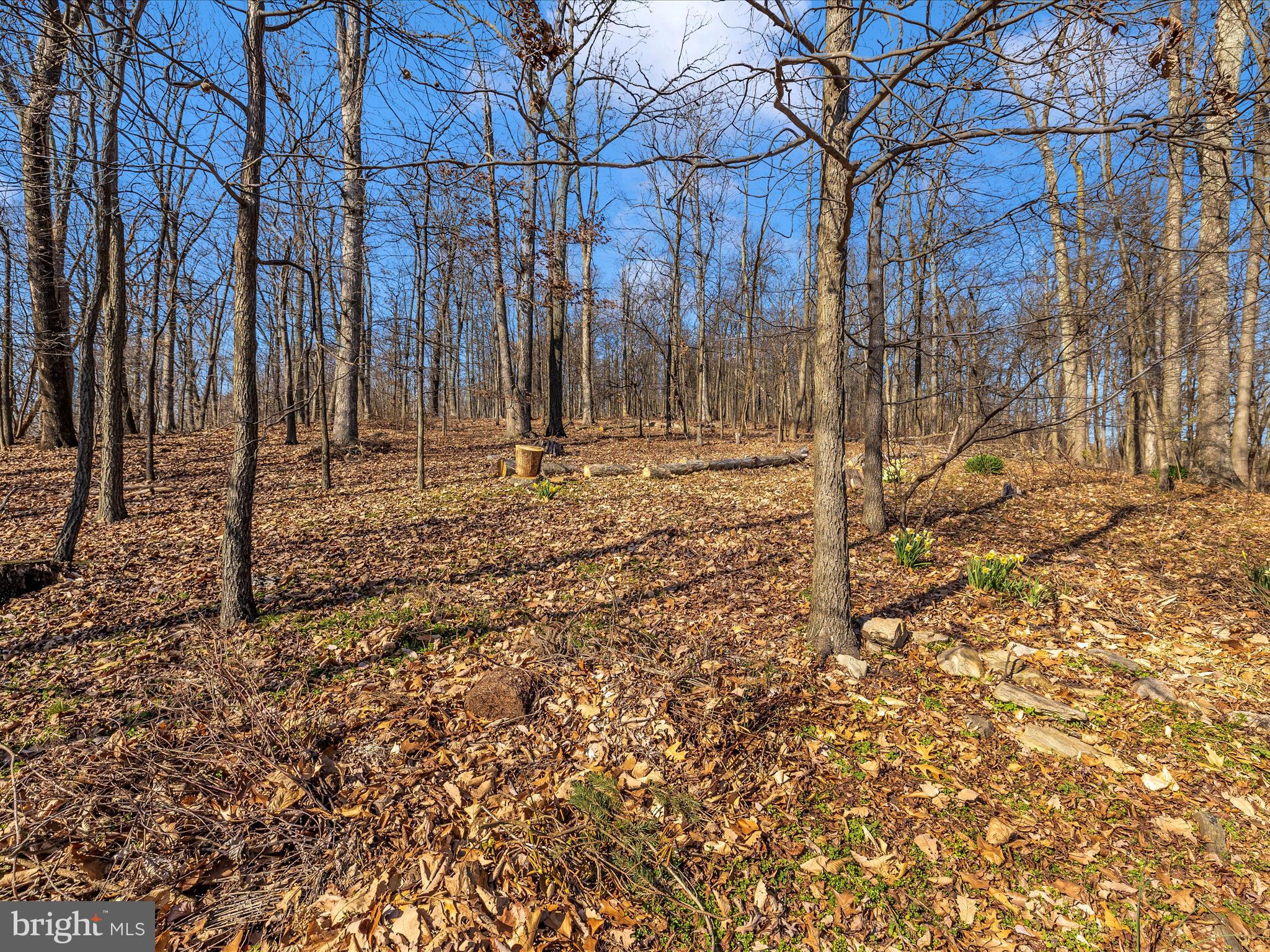 3948 Mar Lu Ridge Road Jefferson, MD 21755 - Photo 85 of 116 Exterior Back