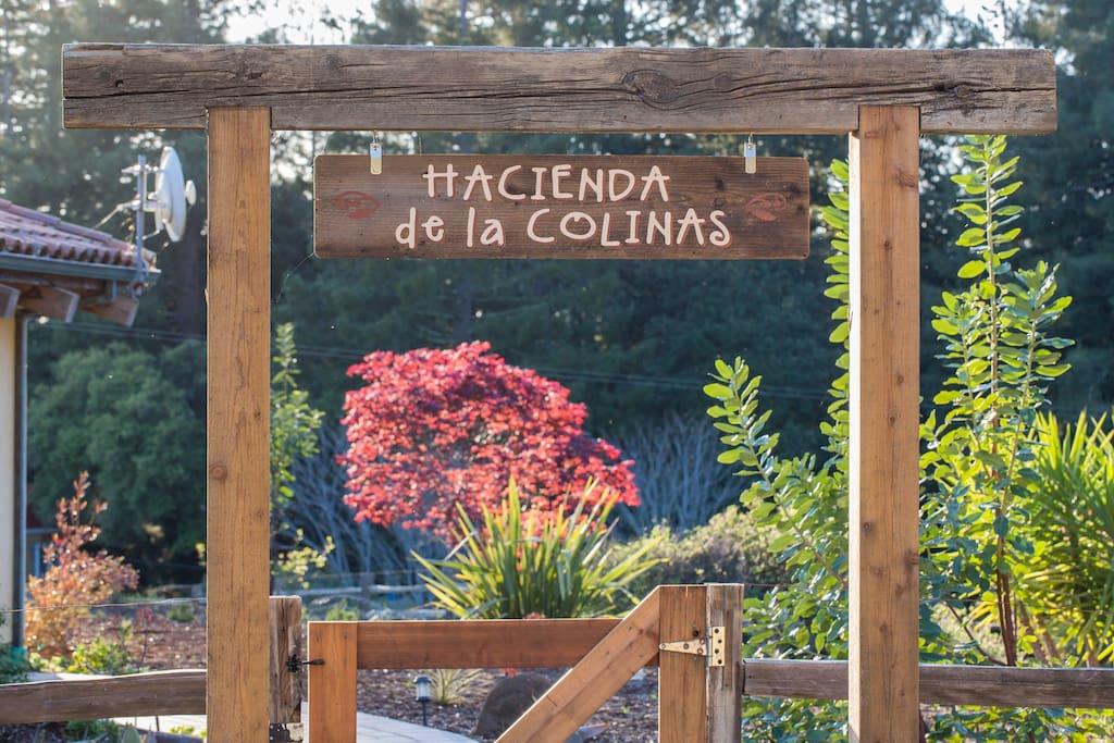 1564-1562 Tindall Ranch Road Corralitos, CA 95076 - Photo 15 of 75 Gallery Image 15