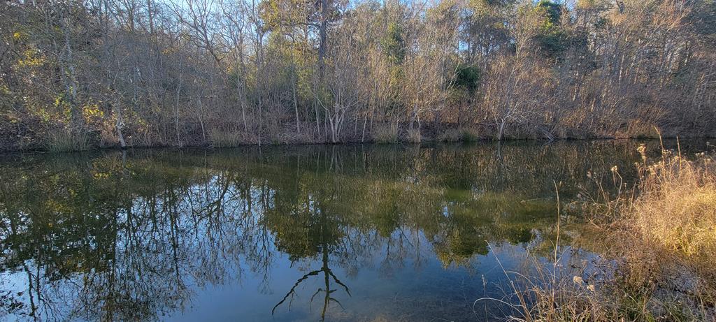 50.45-acres Trawick Road Dothan, AL 36301 - Photo 14 of 62