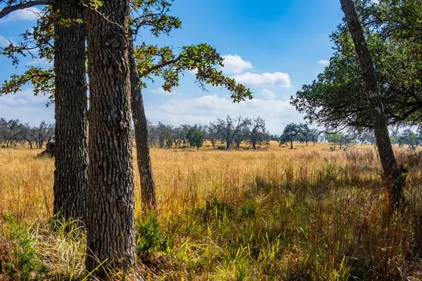 $150,000 | Lot 12 Turn Out Lane, Harper, TX 78631