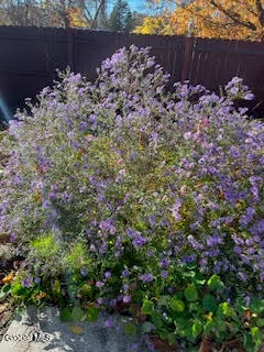 $639,000 | 261 West Circular Street, Saratoga Springs, NY 12866