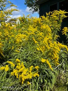 $639,000 | 261 West Circular Street, Saratoga Springs, NY 12866