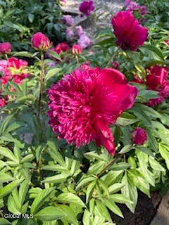 $639,000 | 261 West Circular Street, Saratoga Springs, NY 12866