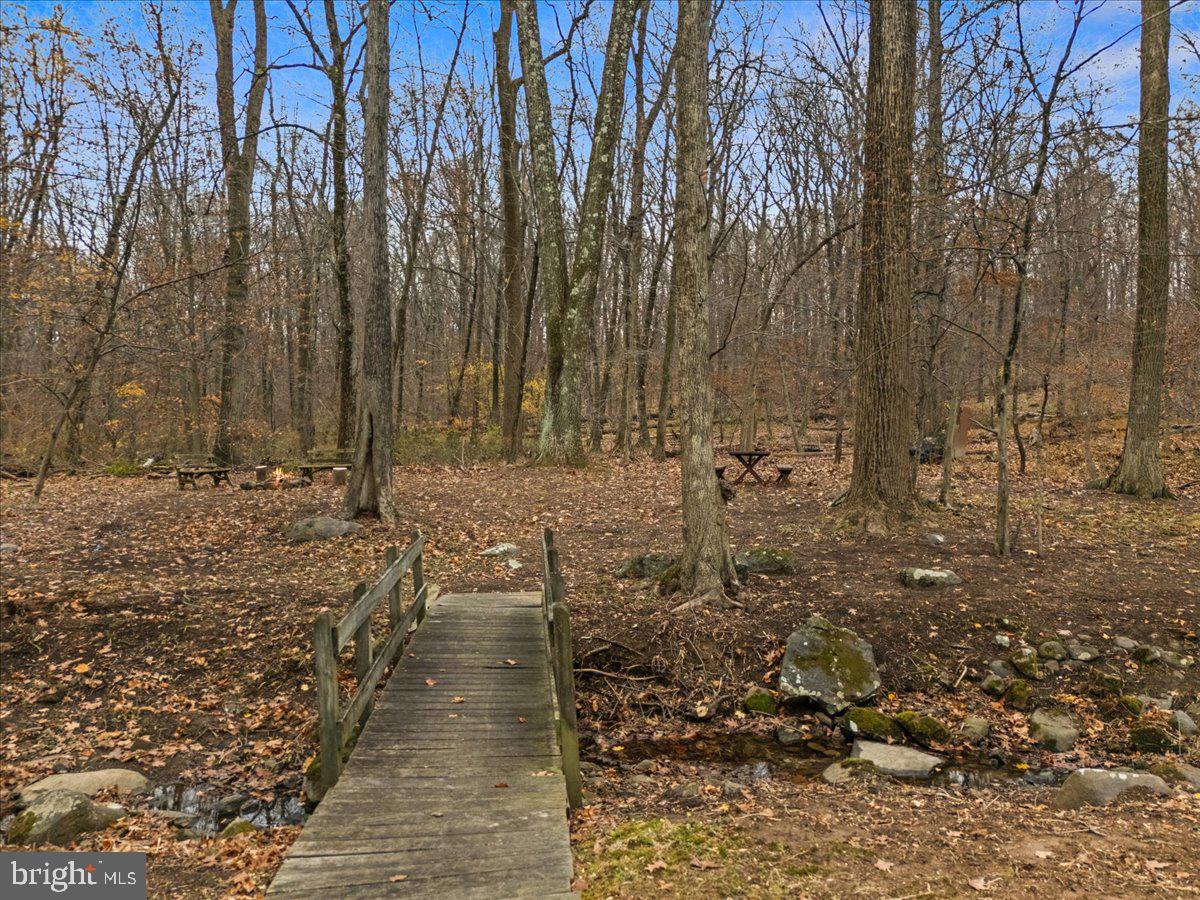 835 Mt Lucas Road Princeton, NJ 08540 - Photo 11 of 48 Backyard