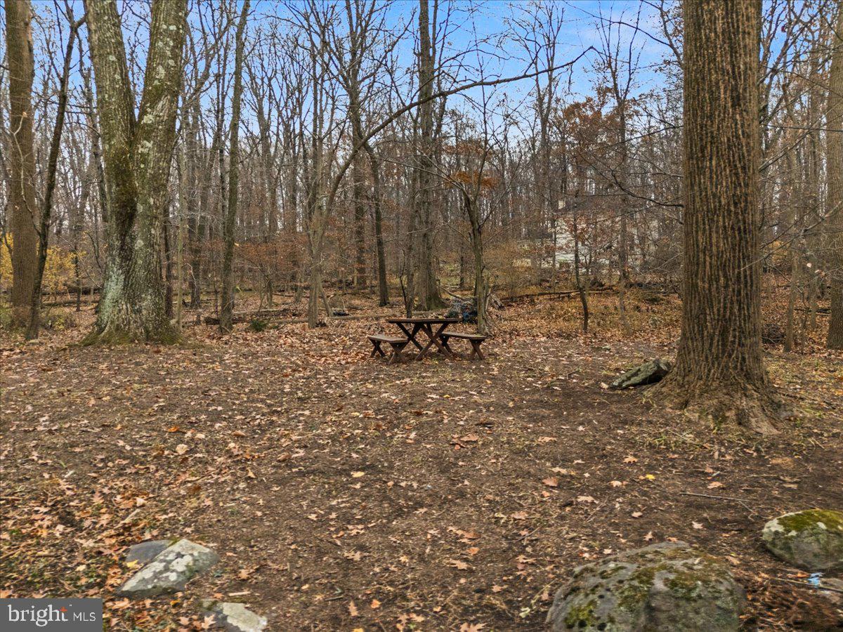 835 Mt Lucas Road Princeton, NJ 08540 - Photo 12 of 48 Backyard