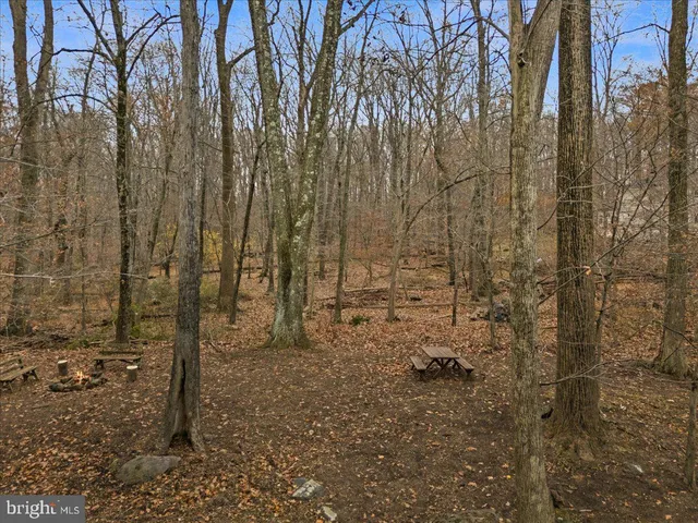 a view of wooden fence and trees