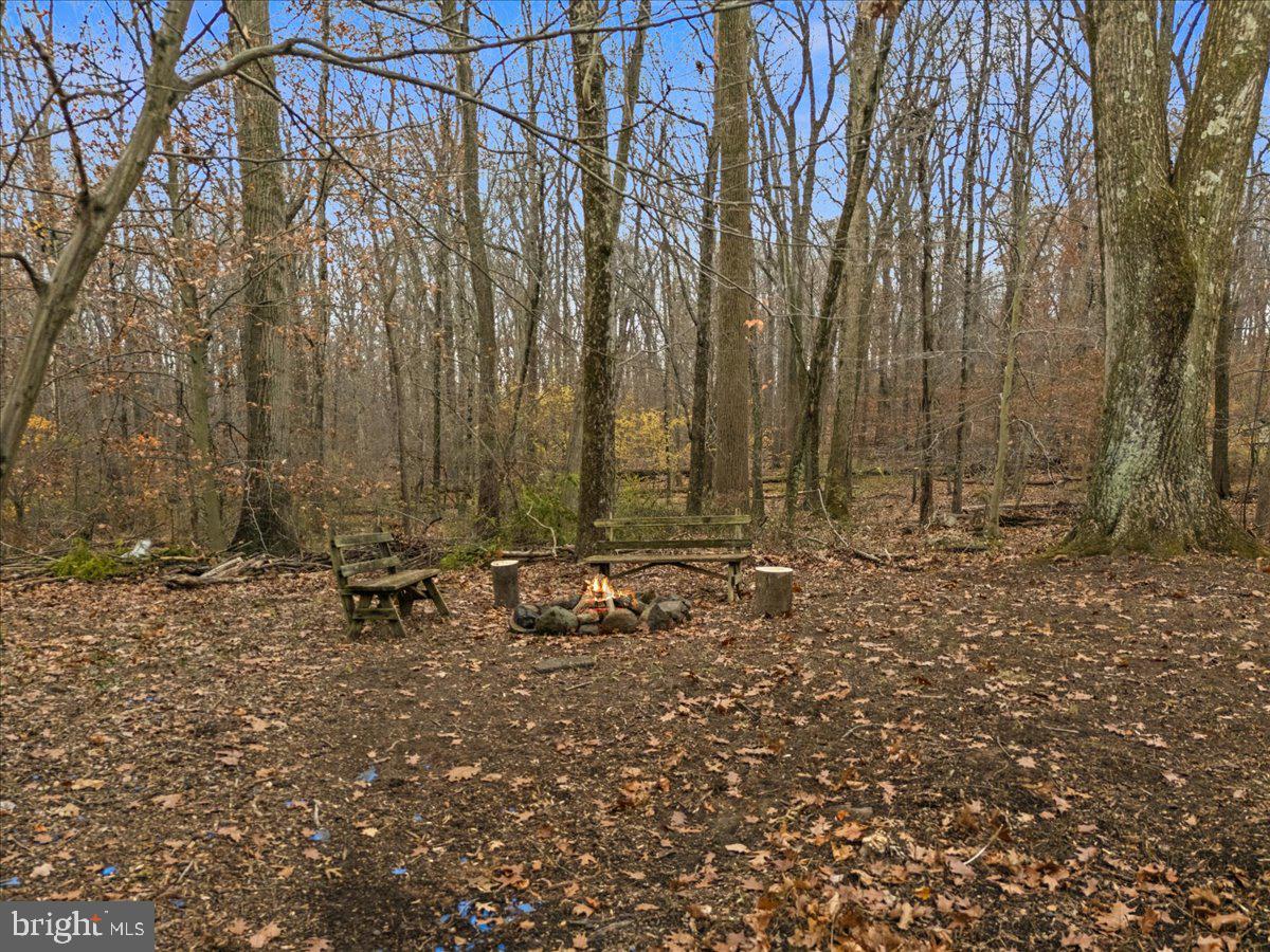835 Mt Lucas Road Princeton, NJ 08540 - Photo 14 of 48 Backyard