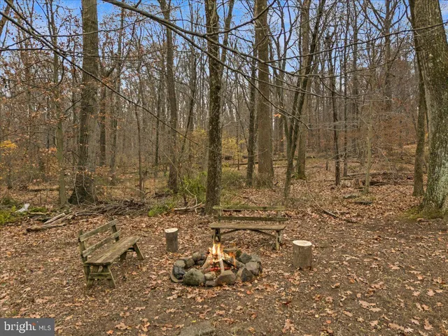 a view of a yard with iron fence