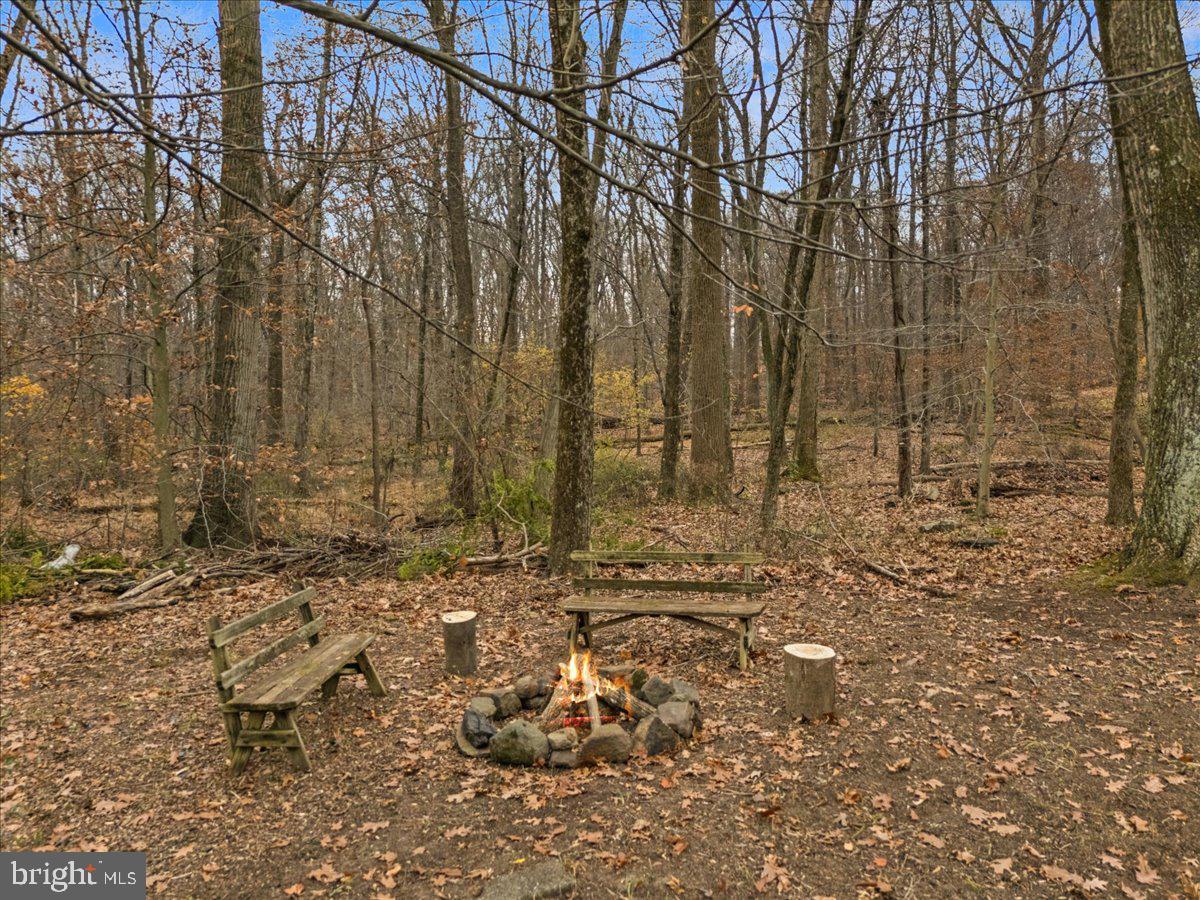 835 Mt Lucas Road Princeton, NJ 08540 - Photo 15 of 48 Backyard