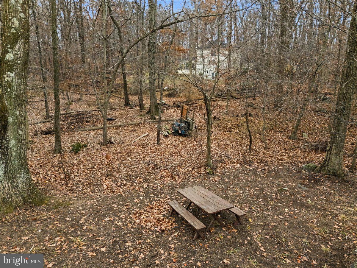 835 Mt Lucas Road Princeton, NJ 08540 - Photo 16 of 48 Backyard