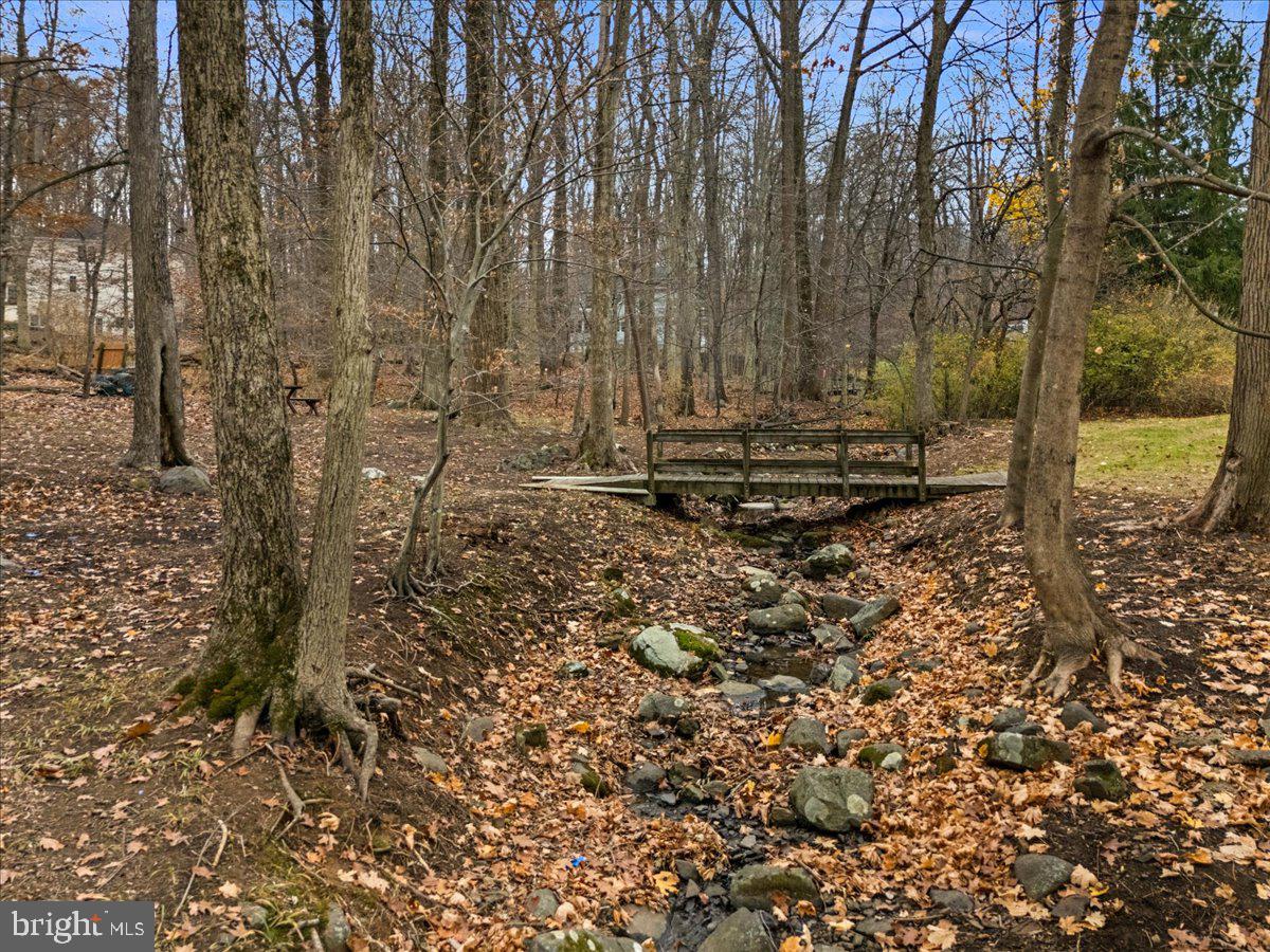 835 Mt Lucas Road Princeton, NJ 08540 - Photo 19 of 48 Backyard