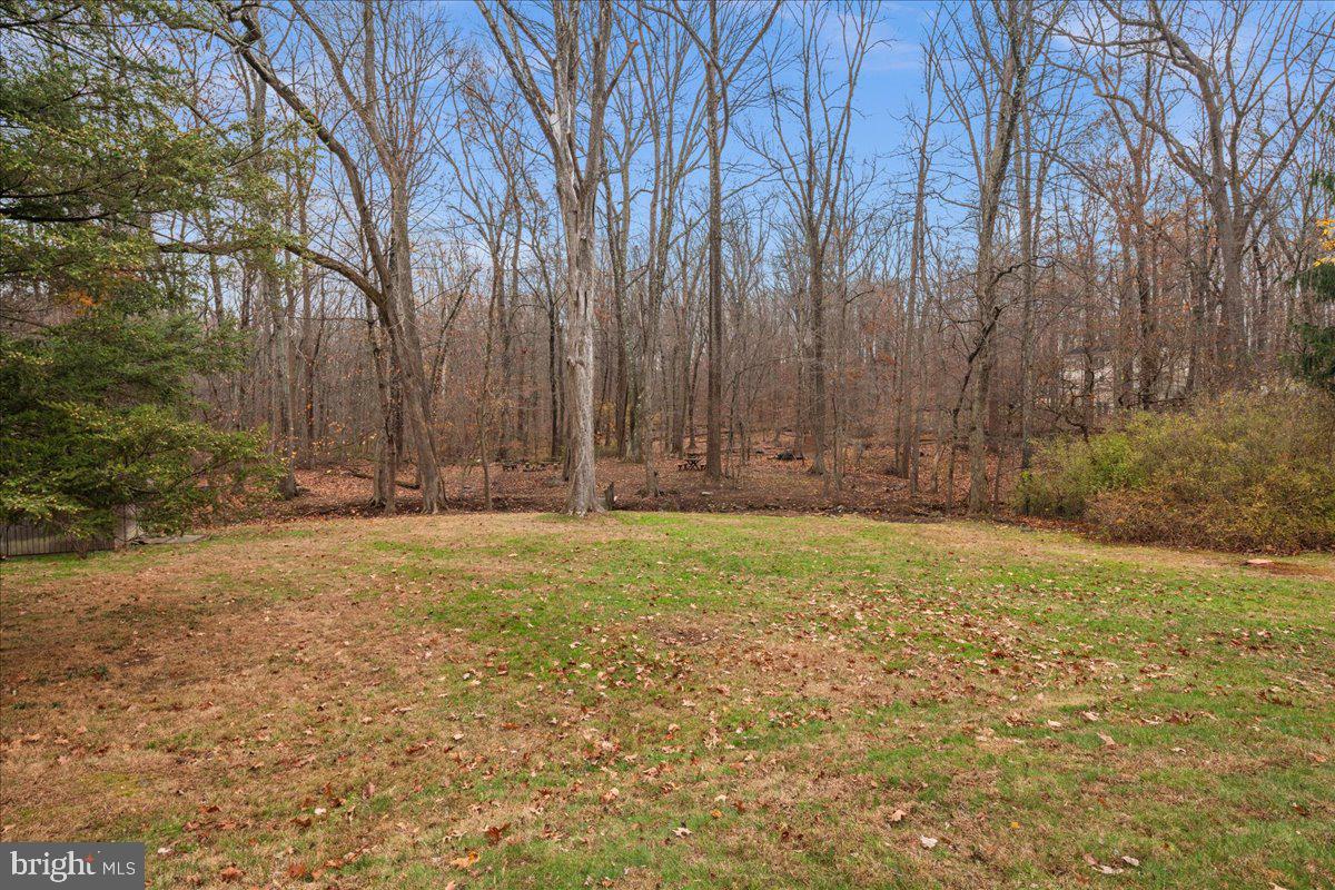 835 Mt Lucas Road Princeton, NJ 08540 - Photo 48 of 48 View of Back Yard
