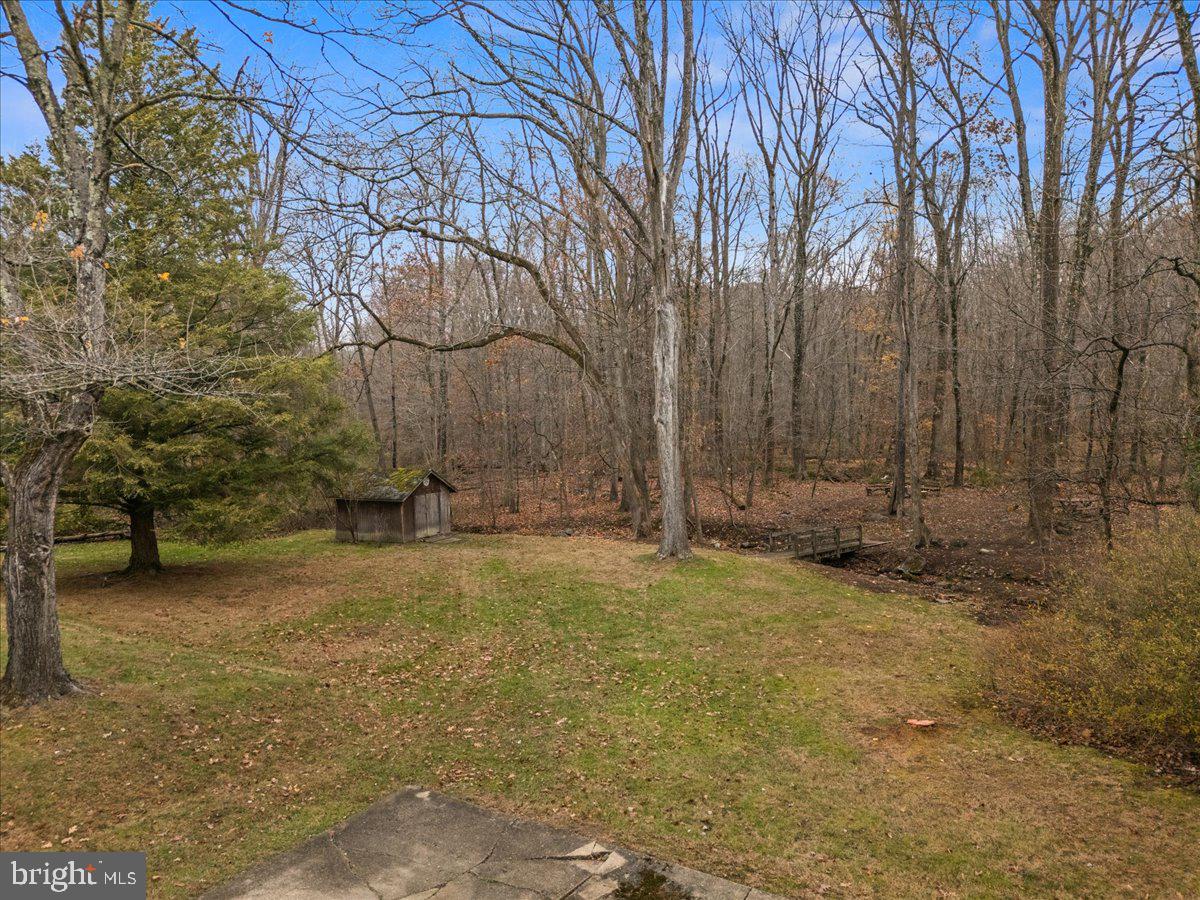 835 Mt Lucas Road Princeton, NJ 08540 - Photo 7 of 48 Backyard