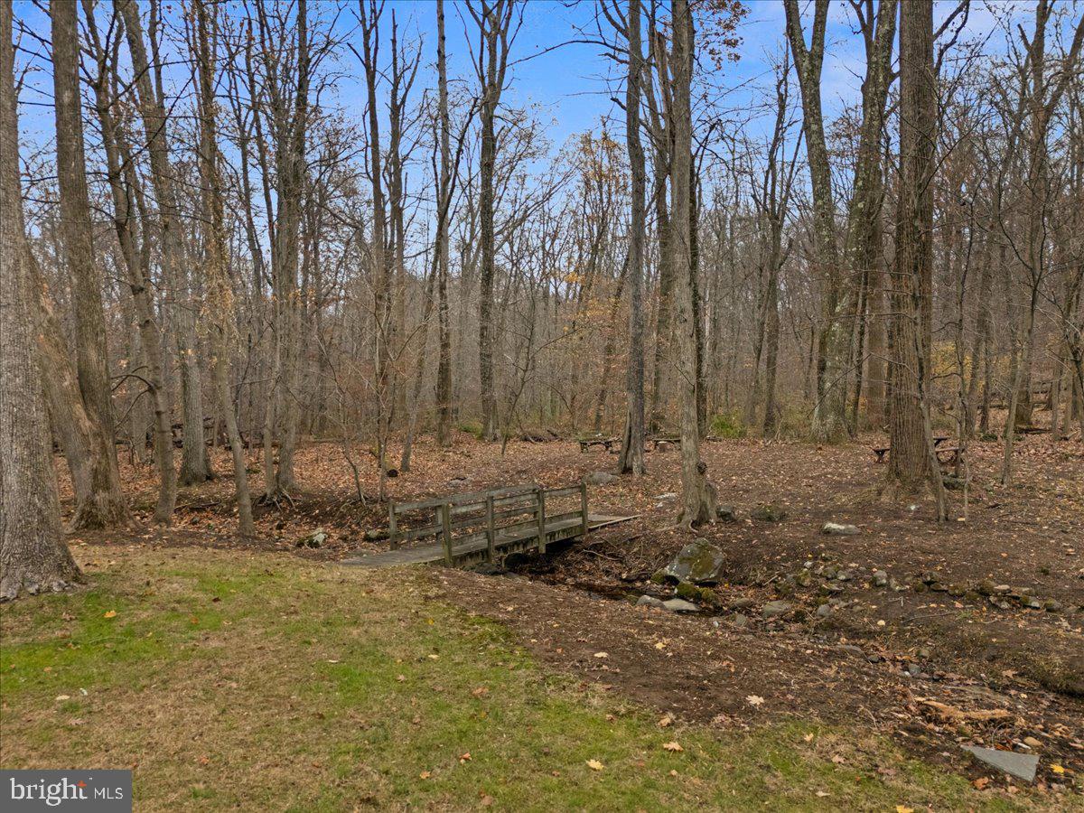 835 Mt Lucas Road Princeton, NJ 08540 - Photo 9 of 48 Backyard