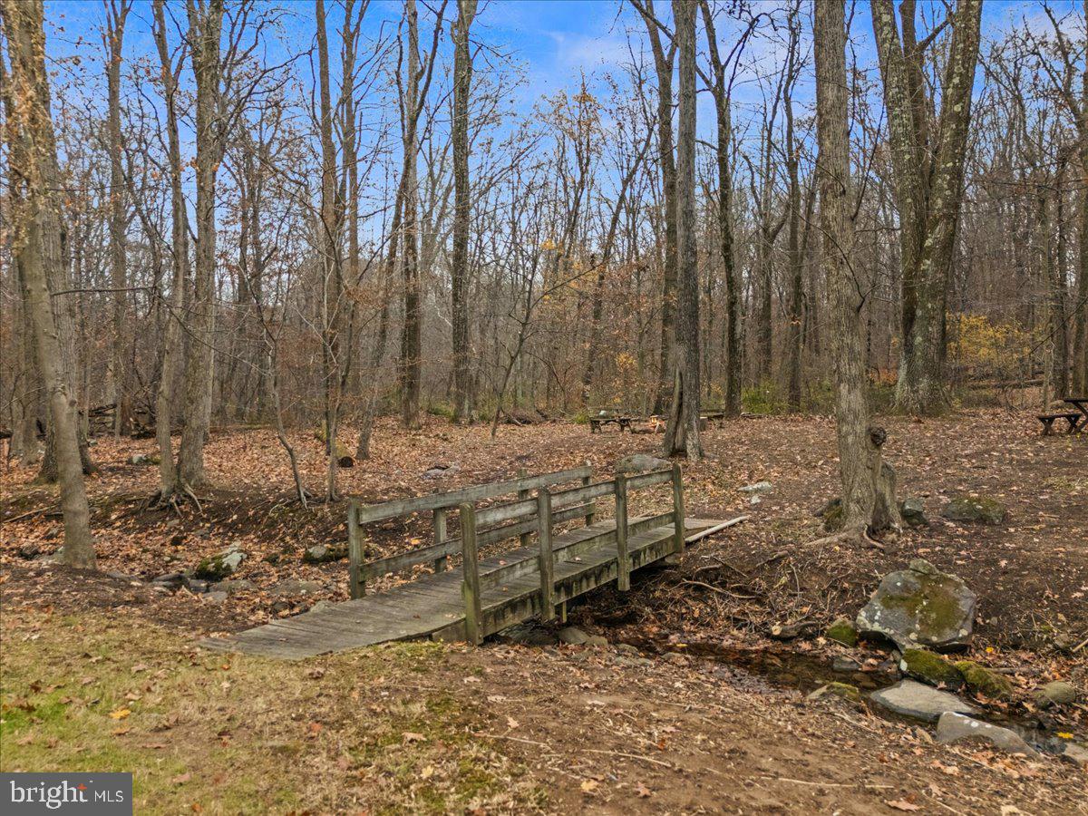 835 Mt Lucas Road Princeton, NJ 08540 - Photo 10 of 48 Backyard