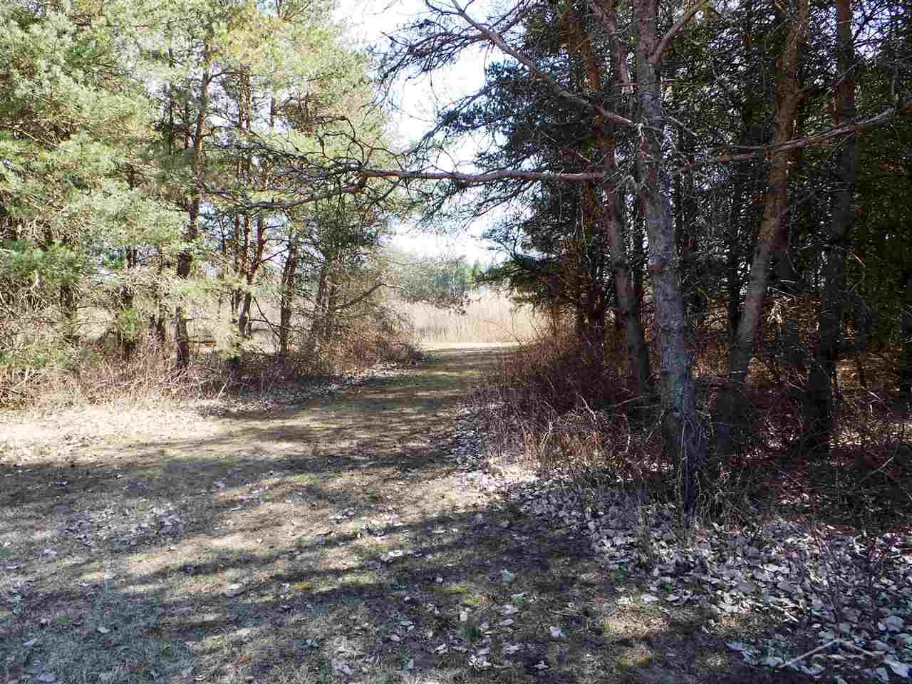 17675 Swan Creek Road, Unit 6 Hemlock, MI 48626 - Photo 8 of 10 Gallery Image 8