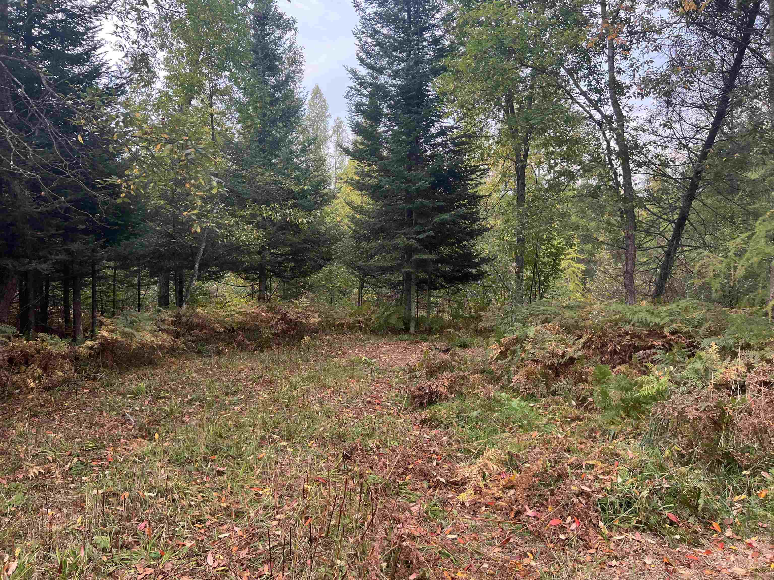 90 A Ridgeview Drive Kalkaska, MI 49646 - Photo 47 of 75