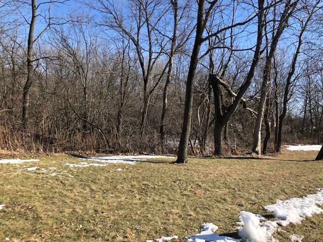 Lot 3 143rd Street West Taylor Ridge, IL 61284 - Photo 1 of 4 a view of house with trees