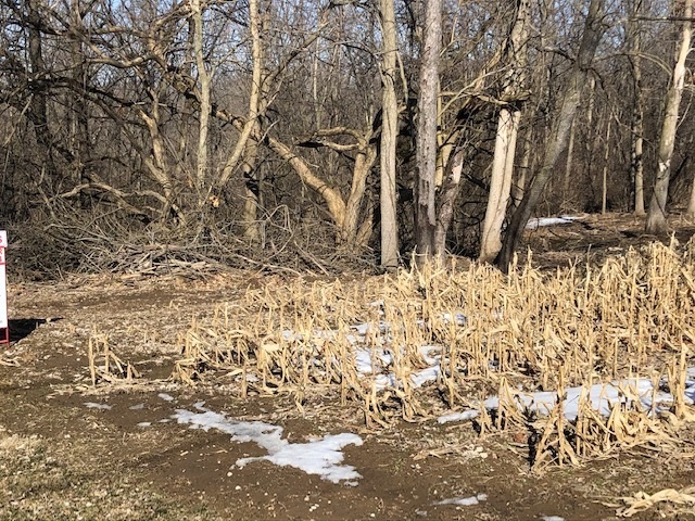 Lot 3 143rd Street West Taylor Ridge, IL 61284 - Photo 3 of 4 a view of a yard covered with snow