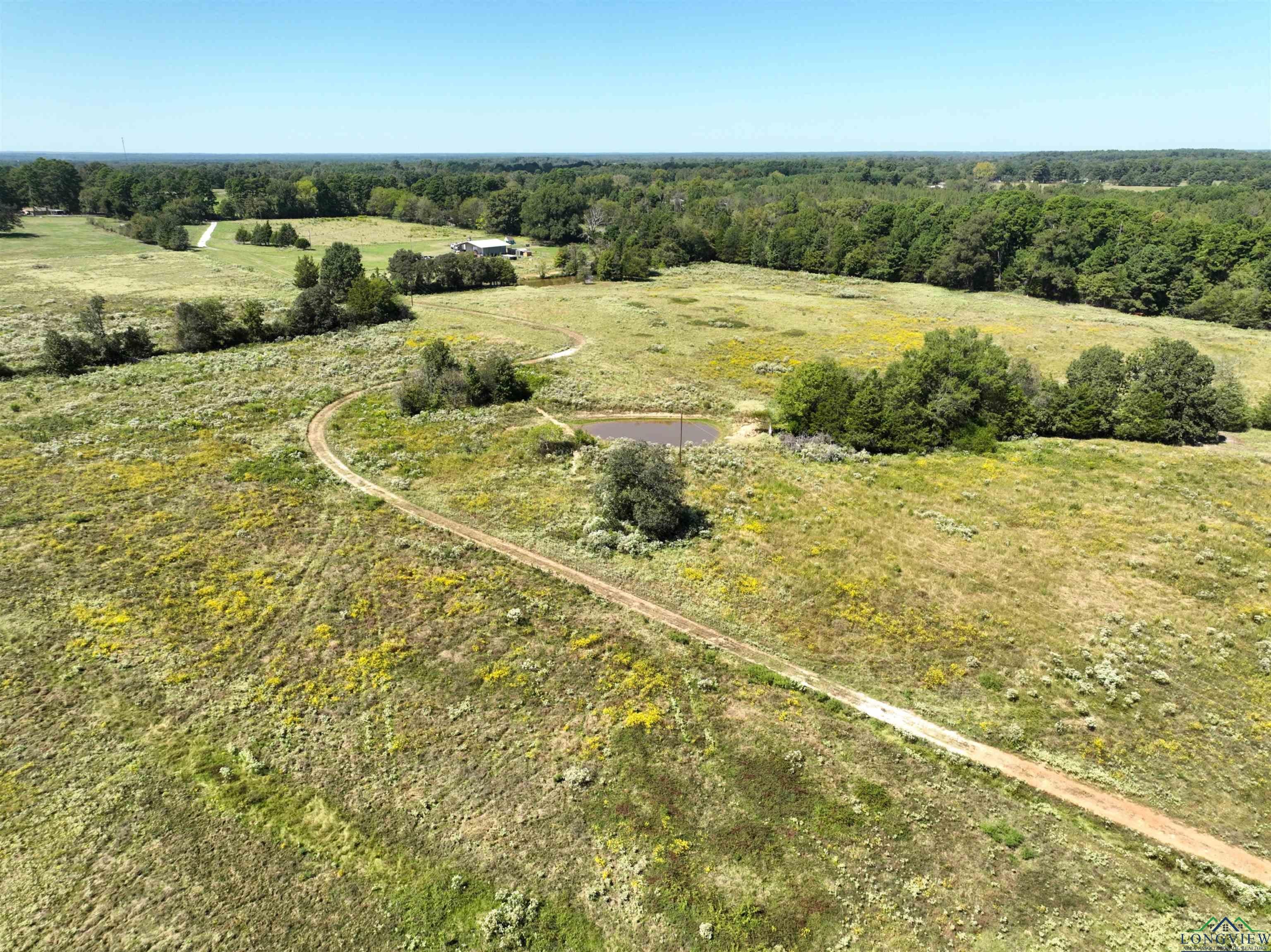 Tbd Ginger Road Gilmer, TX 75644 - Photo 20 of 27 Gallery Image 20