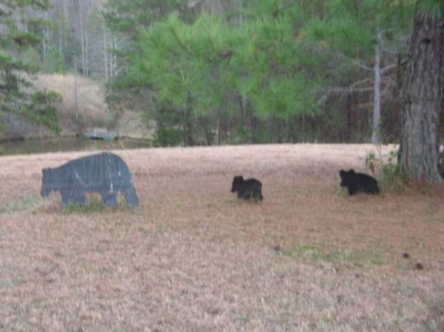 145 Apple Orchard Road Mountain Rest, SC 29664 - Photo 5 of 9 Gallery Image 5