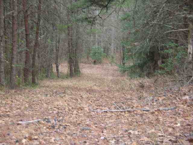 145 Apple Orchard Road Mountain Rest, SC 29664 - Photo 7 of 9 Gallery Image 7