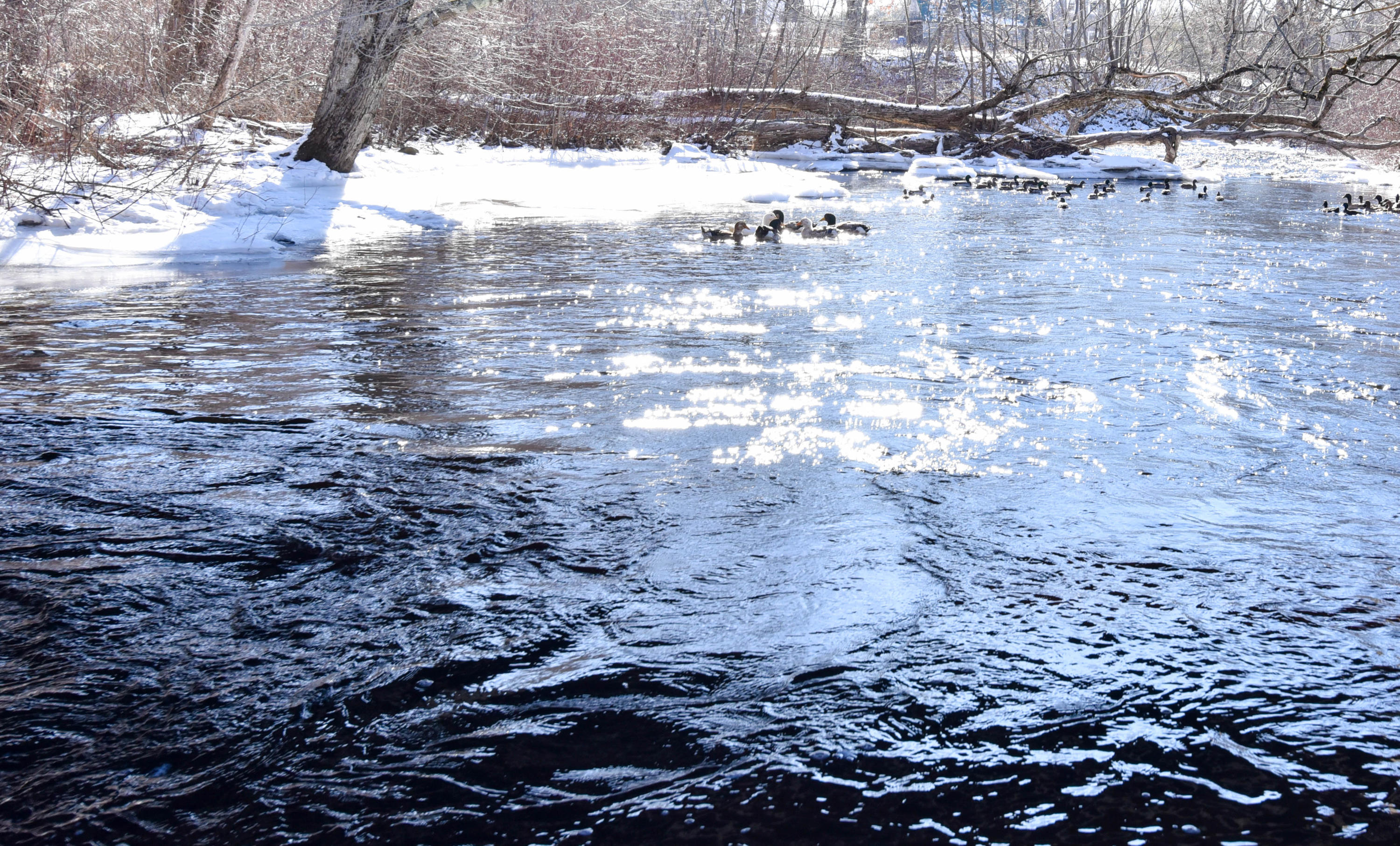 282 Patricktown Road Somerville, ME 04348 - Photo 46 of 59 Patricktown Rd-5262