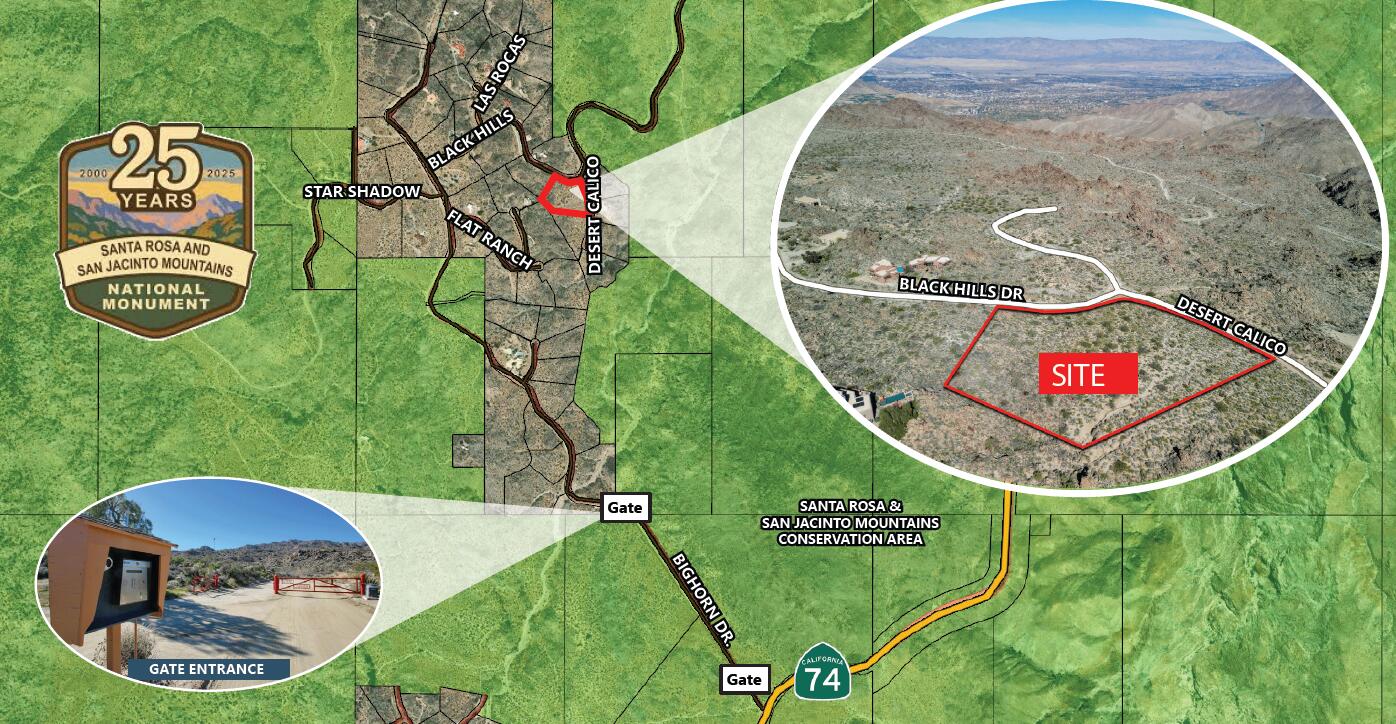 0 Black Hills Road, Unit 21 Mountain Center, CA 92561 - Photo 2 of 4 a view of swimming pool with a backyard