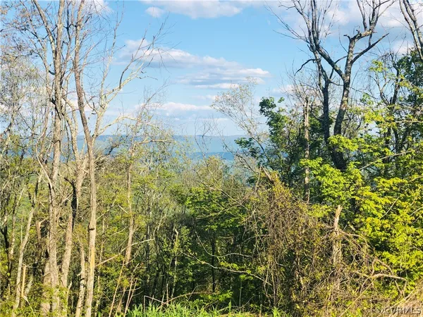 a backyard of a building with lots of green space