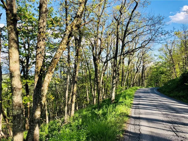 a view of yard with trees