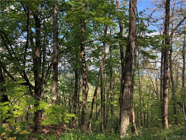 a view of outdoor space