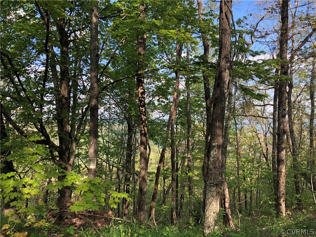 0 Airport Road Clifton Forge, VA 24422 - Photo 4 of 7 a view of outdoor space