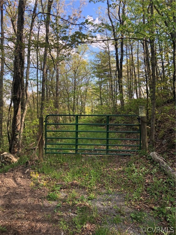 0 Airport Road Clifton Forge, VA 24422 - Photo 5 of 7 a view of a yard