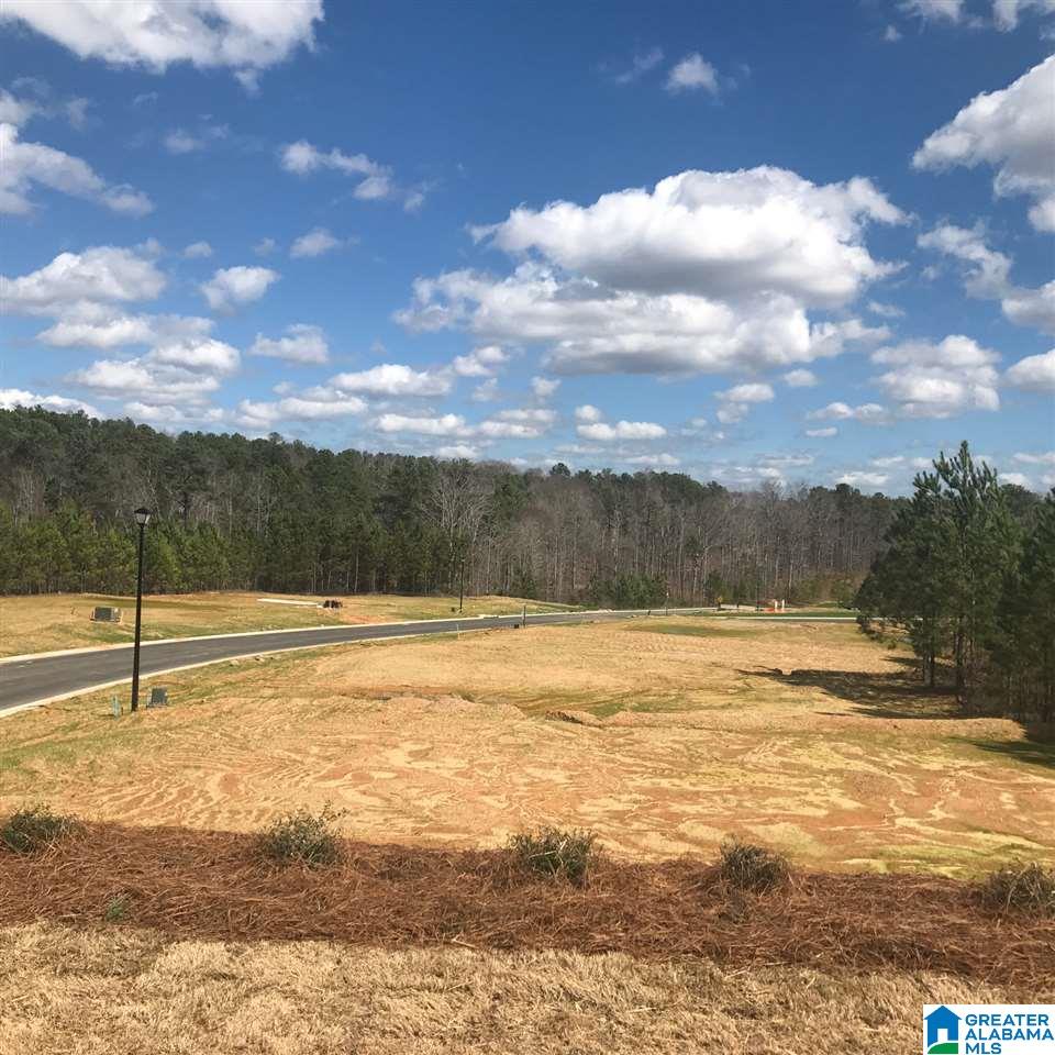 719 Mallet Way Chelsea, AL 35043 - Photo 26 of 26