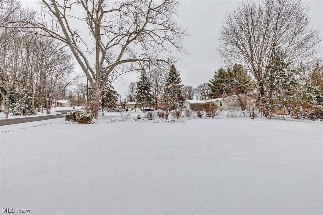 165 Paradise Road Painesville, OH 44077 - Photo 8 of 34