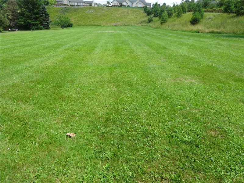 554 Country Club Road Washington, PA 15301 - Photo 22 of 24 Yard/Garden.