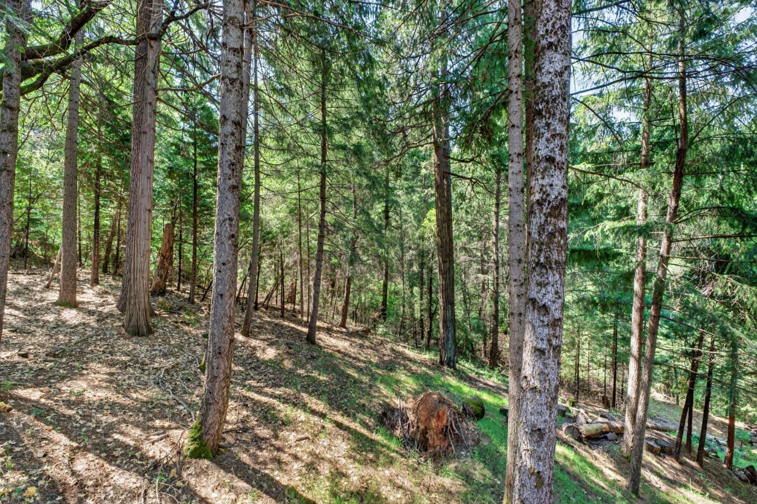 4340 Fairglade Road Placerville, CA 95667 - Photo 42 of 42