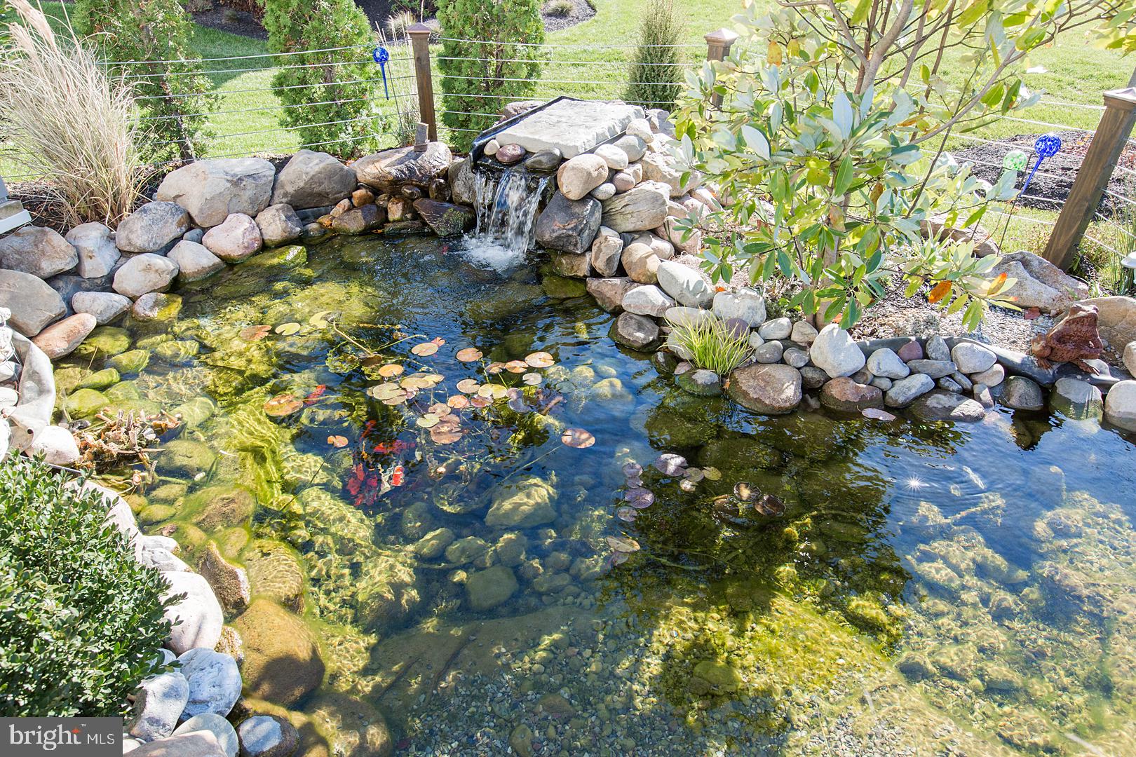 605 Frome Avenue Lititz, PA 17543 - Photo 53 of 54 beautiful koi pond with accent landscaping