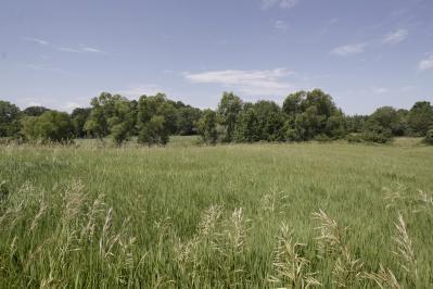 Gilkey Lake Road Delton, MI 49046 - Photo 1 of 4 Primary Photo