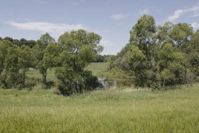 Gilkey Lake Road Delton, MI 49046 - Photo 3 of 4 Additional Photo