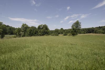 Gilkey Lake Road Delton, MI 49046 - Photo 4 of 4 Additional Photo