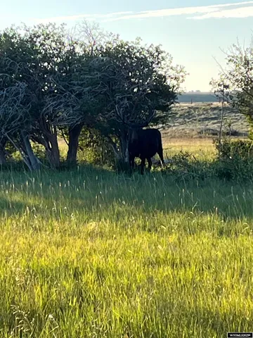 $185,000 | 56 Aspen Highlands Trail, Elk Mountain, WY 82324