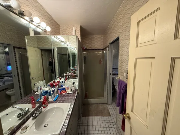 a bathroom with a sink a toilet and shower