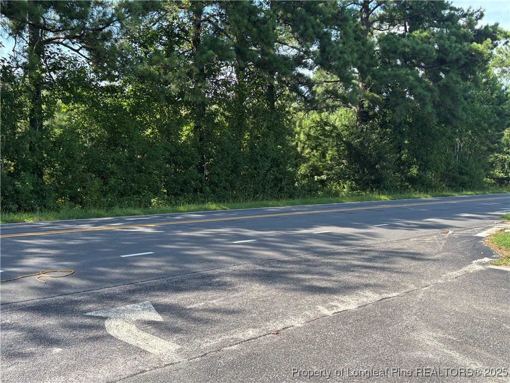 Candy Park Road Pembroke, NC 28372 - Photo 6 of 8 Additional view of road frontage
