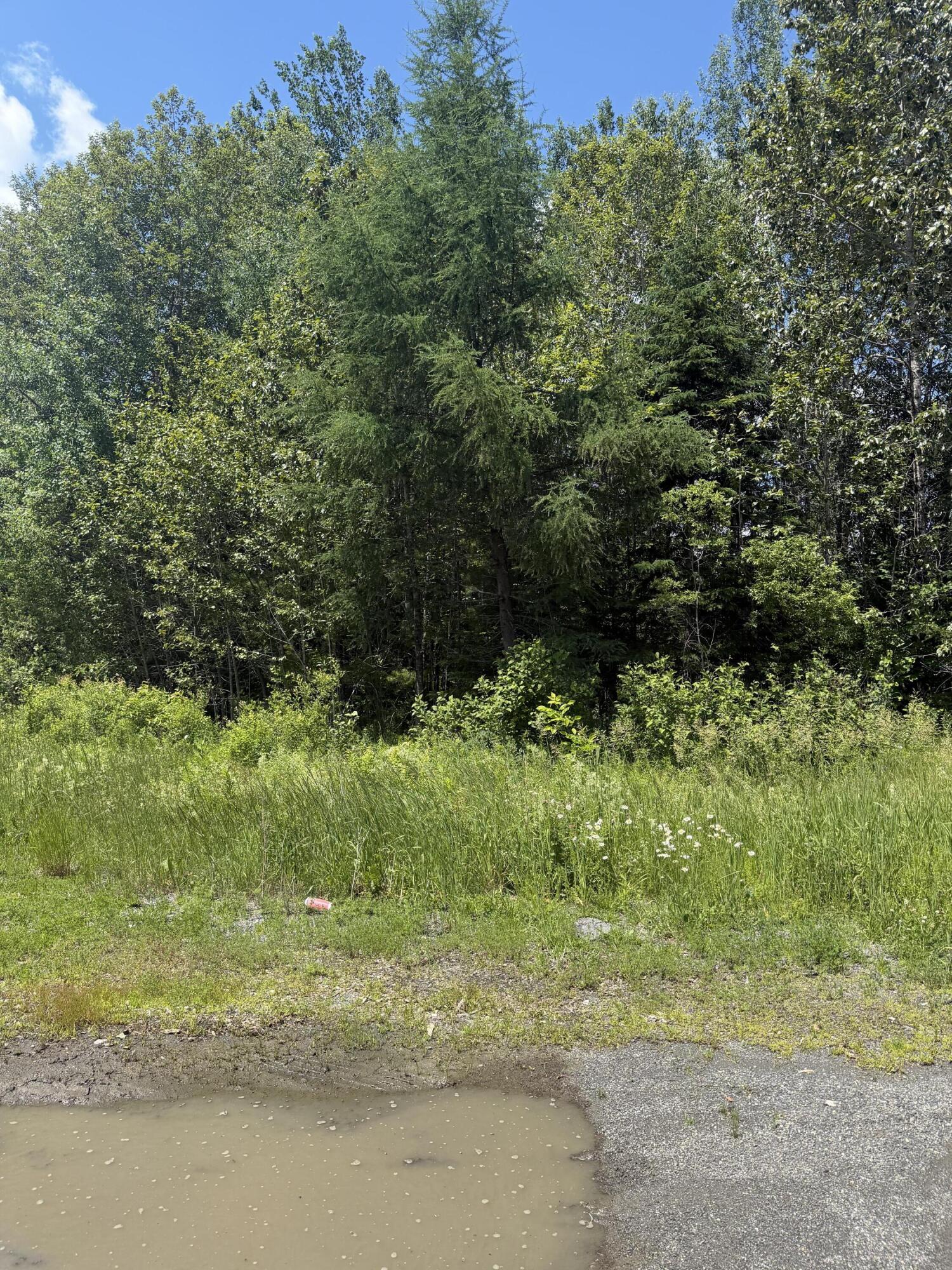 M10-l18-9 M10-l18-9 Milo/hughes Road Sebec, ME 04481 - Photo 1 of 3 IMG_3970