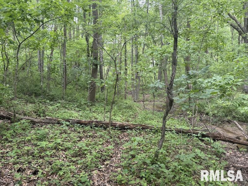 4 4h Road Bridgeport, IL 62417 - Photo 27 of 85