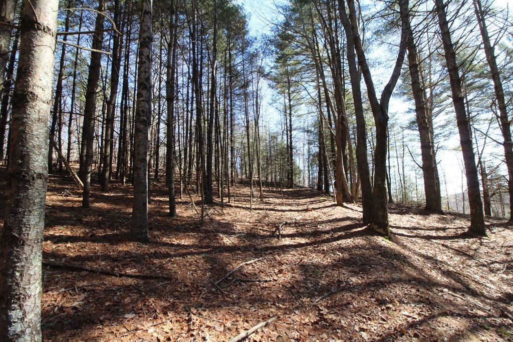 Tbd Ivanhoe Road, Unit 60A34 Fries, VA 24330 - Photo 15 of 45 Gallery Image 15