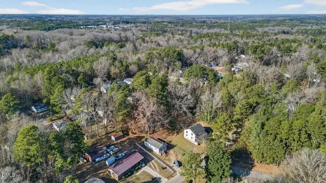 a view of a forest with a tree