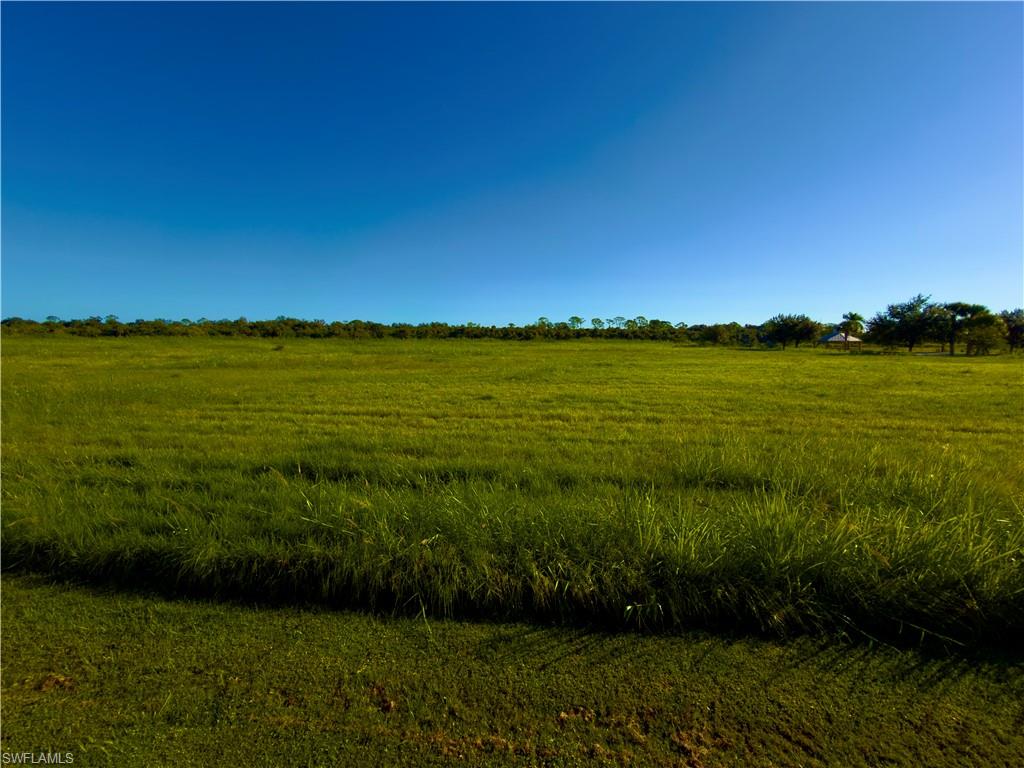 a view of an ocean and beach